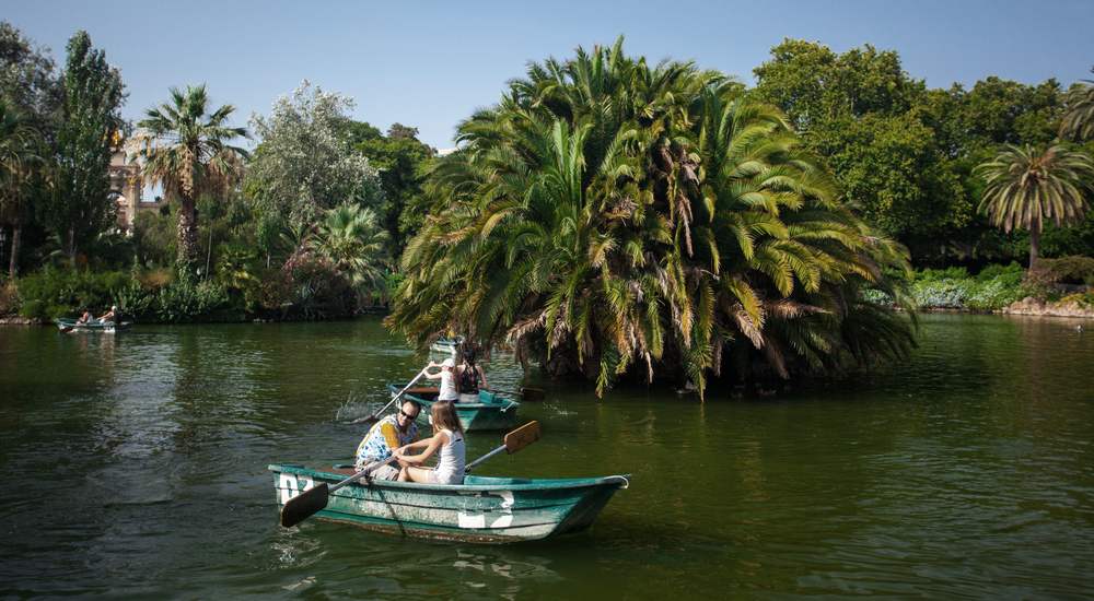 a person riding on the back of a boat next to a tree