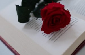 sant jordi in Barcelona